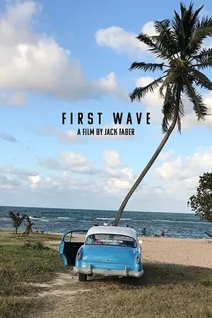 Постер к фильму First Wave (2017)