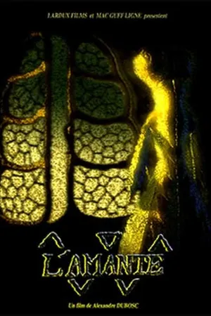 Постер к мультфильму Любовница (2001)
