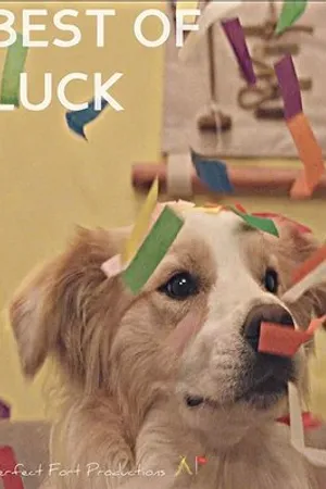 Постер к фильму Best of Luck (2017)