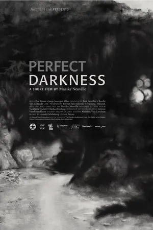 Постер к фильму Perfect Darkness (2016)