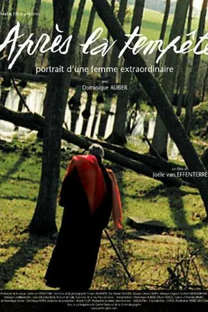 Постер к фильму Après la tempête (2001)