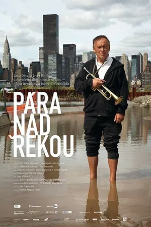 Постер к фильму Пар над рекой (2015)