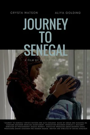 Постер к фильму Journey to Senegal (2017)