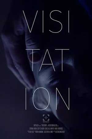 Постер к фильму Visitation (2016)