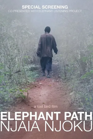 Постер к фильму Elephant Path/Njaia Njoku (2017)