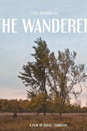 Постер к фильму The Wanderer (2017)