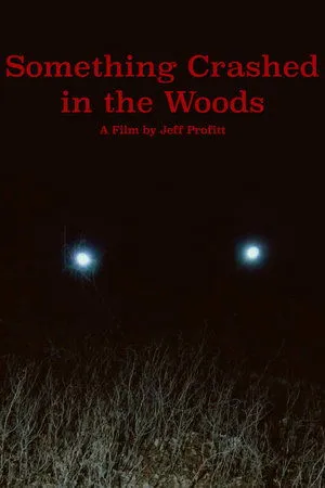 Постер к фильму Something Crashed in the Woods (2019)