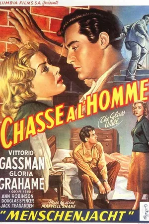 Постер к фильму Стеклянная стена (1953)