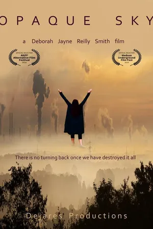 Постер к фильму Opaque Sky (2017)
