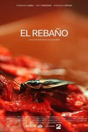 Постер к фильму El rebaño (2017)
