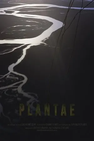 Постер к мультфильму Plantae (2017)