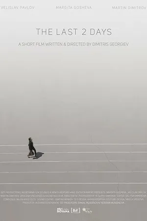 Постер к фильму The Last 2 Days (2017)