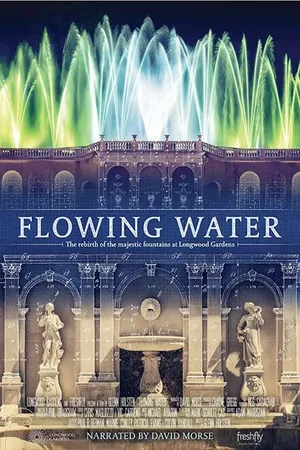 Постер к фильму Flowing Water (2017)