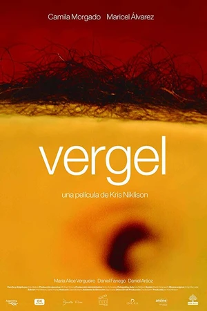 Постер к фильму Vergel (2017)