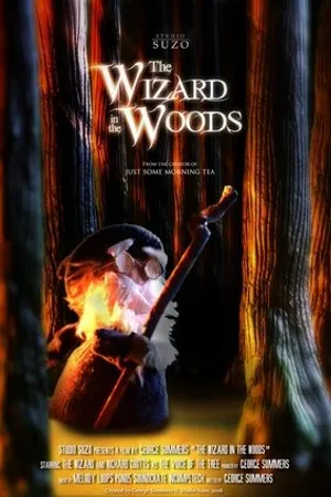 Постер к мультфильму The Wizard in the Woods (2016)