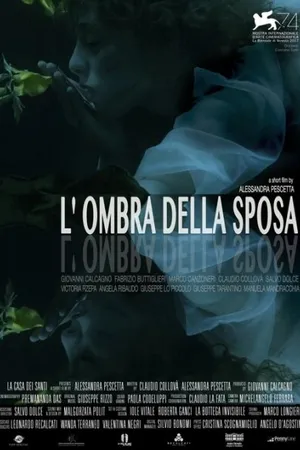 Постер к фильму Тень невесты (2017)