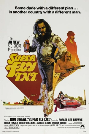 Постер к фильму Возвращение Суперфлая (1973)