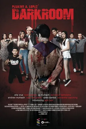 Постер к фильму Тёмная комната (2017)