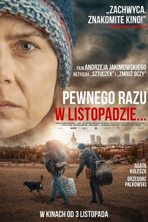 Постер к фильму Однажды в ноябре (2017)