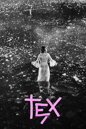 Постер к фильму Tex (2017)