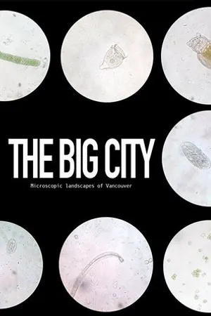 Постер к фильму The Big City (2017)