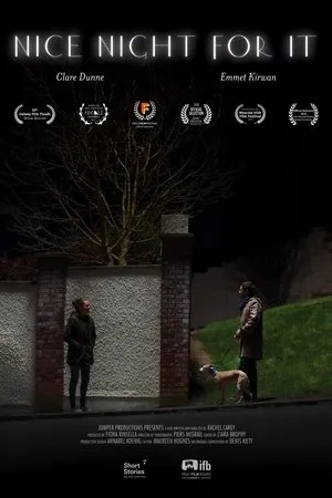 Постер к фильму Nice Night for It (2017)