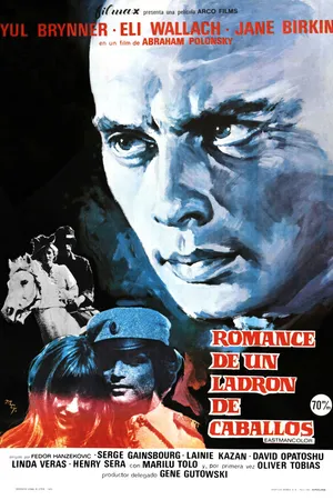 Постер к фильму Роман конокрада (1971)