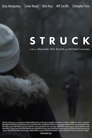 Постер к фильму Struck (2017)