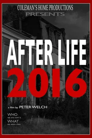Постер к фильму After Life 2016 (2018)