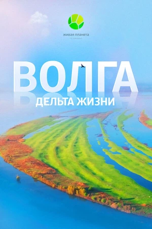 Постер к фильму Волга: Дельта жизни (2024)