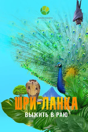 Постер к фильму Шри-Ланка: Выжить в раю (2025)