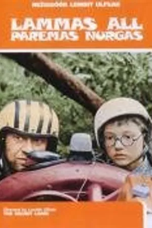 Постер к фильму Овечка в правом нижнем углу (1992)