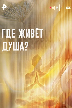Постер к фильму Где живет душа? (2025)