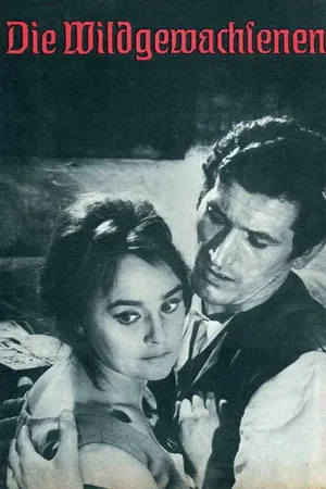 Постер к фильму Самородки (1963)