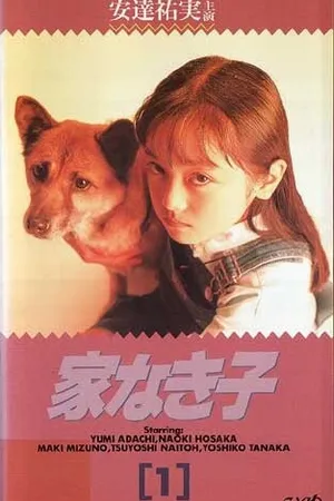 Постер к фильму Бездомный ребёнок (1994)