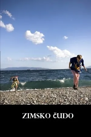 Постер к фильму Zimsko cudo (2012)