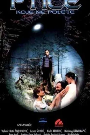Постер к фильму Некоторые птицы никогда не долетят (1997)