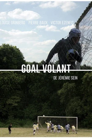 Постер к фильму Goal volant (2017)