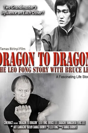 Постер к фильму Dragon to Dragon (2018)