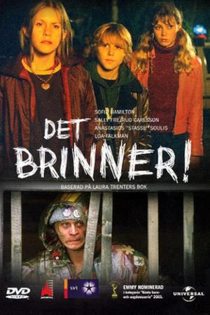 Постер к сериалу Пожар! (2002)