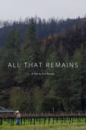 Постер к фильму All That Remains (2019)