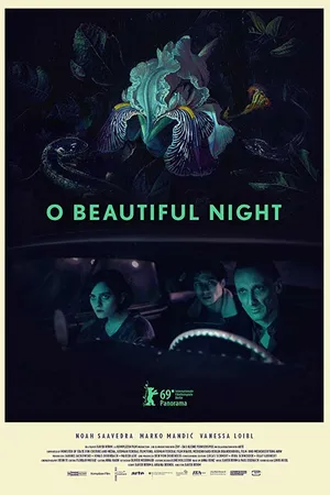 Постер к фильму Ночь прекрасна (2019)