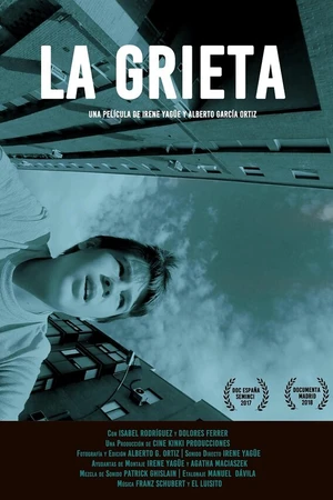 Постер к фильму La grieta (2017)