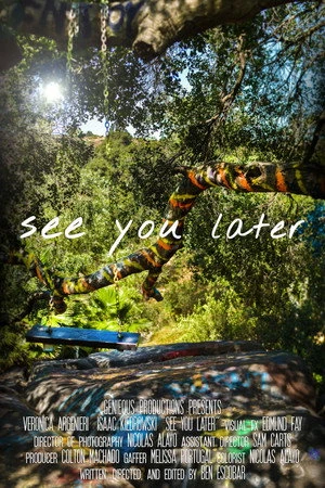 Постер к фильму See You Later (2017)