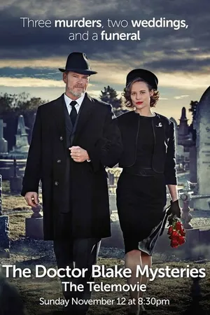 Постер к фильму Доктор Блейк: Семейный портрет (2017)