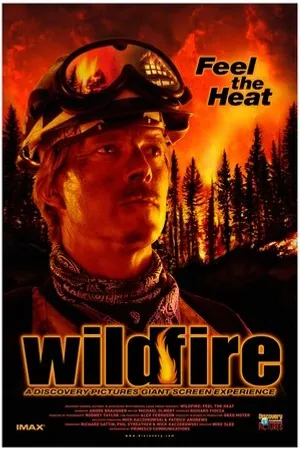 Постер к фильму Wildfire: Feel the Heat (1999)
