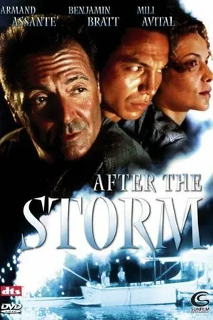 Постер к фильму После шторма (2001)