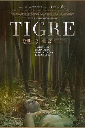 Постер к фильму Тигре (2017)