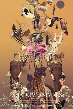 Постер к фильму Игра теней (2017)