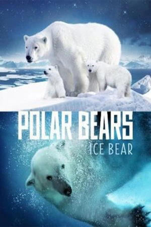 Постер к фильму Polar Bears: Ice Bear (2013)